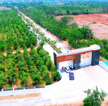 USM Infra-Hyderabad's biggest sandalwood farm projects-farm plots for sale near you