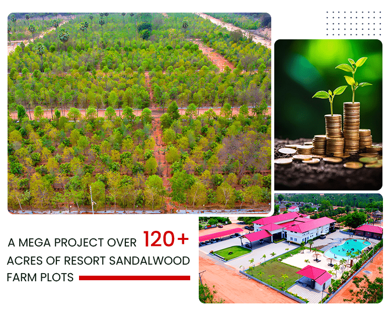 High-Return Investment Plots Available Now - USM Infra Go Valley near Yadagirigutta, Hyderabad