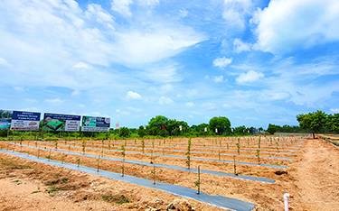 Go Valley sandalwood DTCP plots - Best open plots for sale in Hyderabad